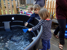 Backyard home Aquaponics system