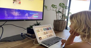 Working As A Family To Build Website About Unicorns