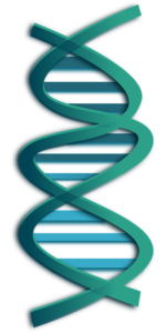 Online gene testing for health