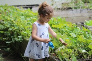 gardening with kids while working from home