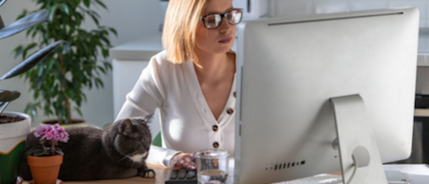 Are cats your perfect work at home partner