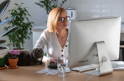 Are cats your perfect work at home partner