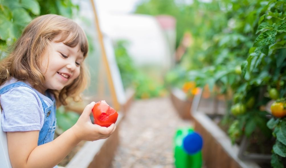 Feed the Family and Earn Extra Income With Aquaponics | SuperWAHM