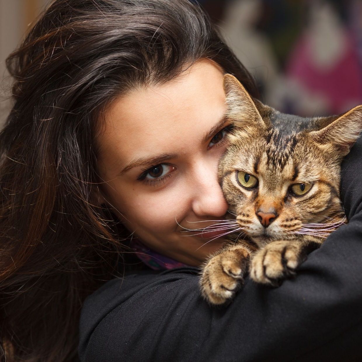 Ella Smiles My Indoor Cat