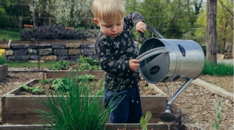 Best tips and creative ideas on gardening with kids