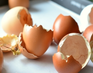 Use eggshells to create a mini garden with kids