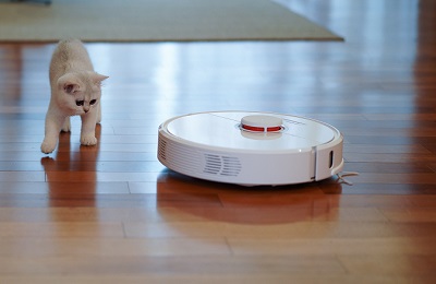 Pet Owners Should Vacuum their Floors