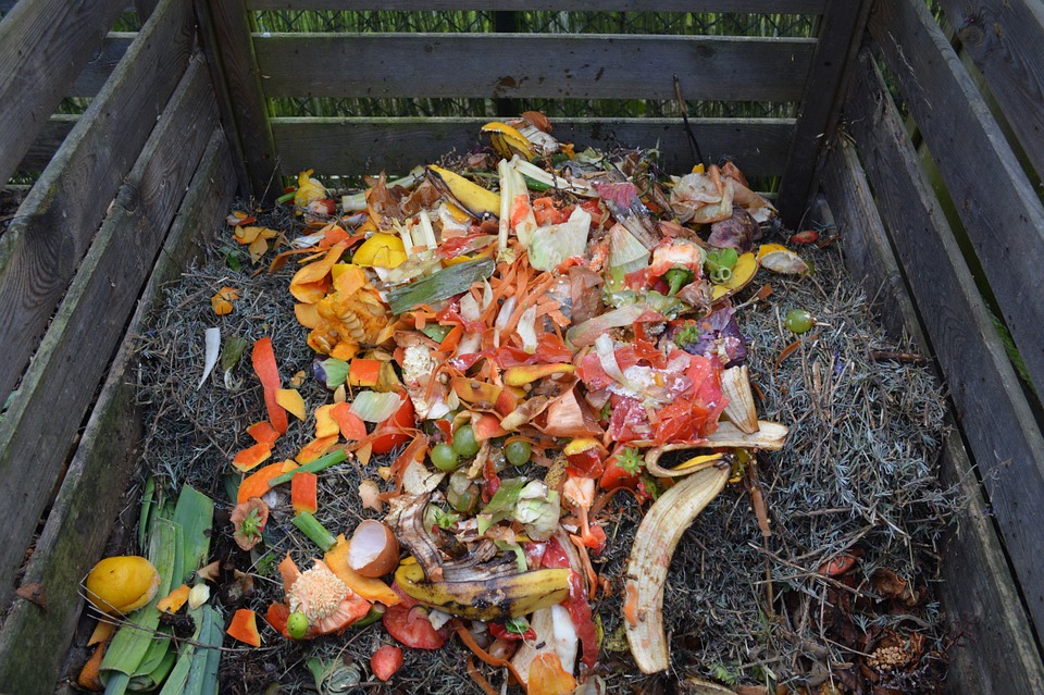 Home compost sustainability