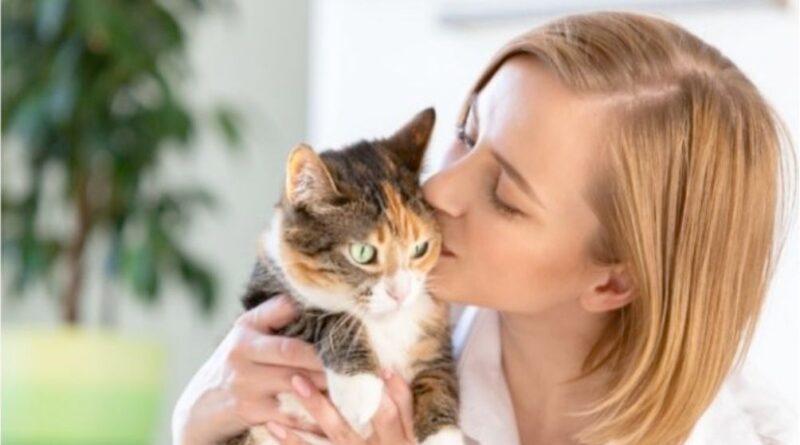 happy cat and woman working from home