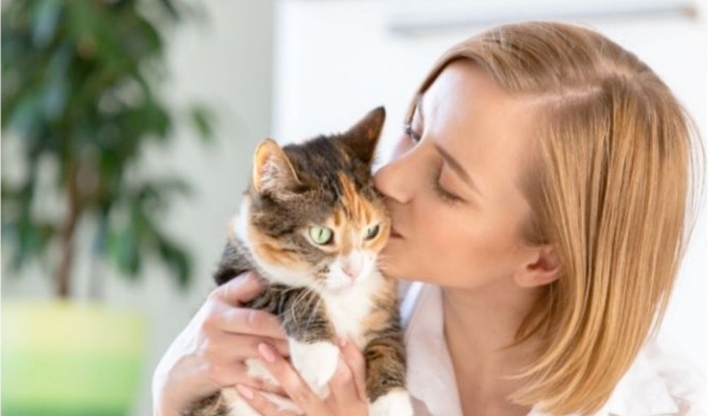 happy cat and woman working from home