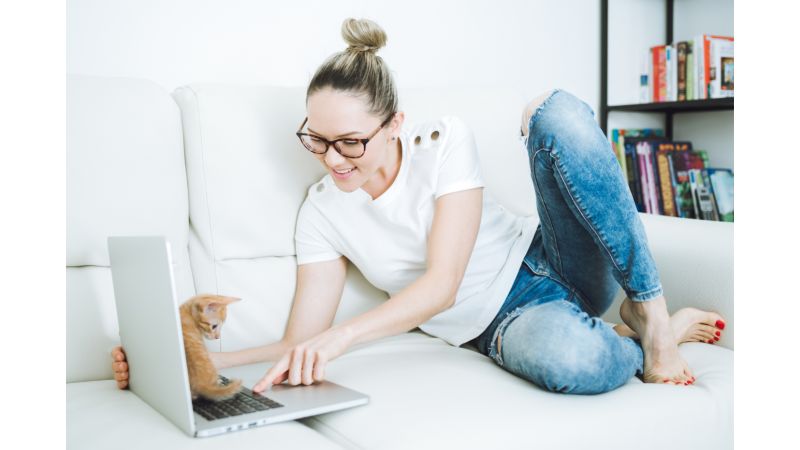 woman working From Home With Cats