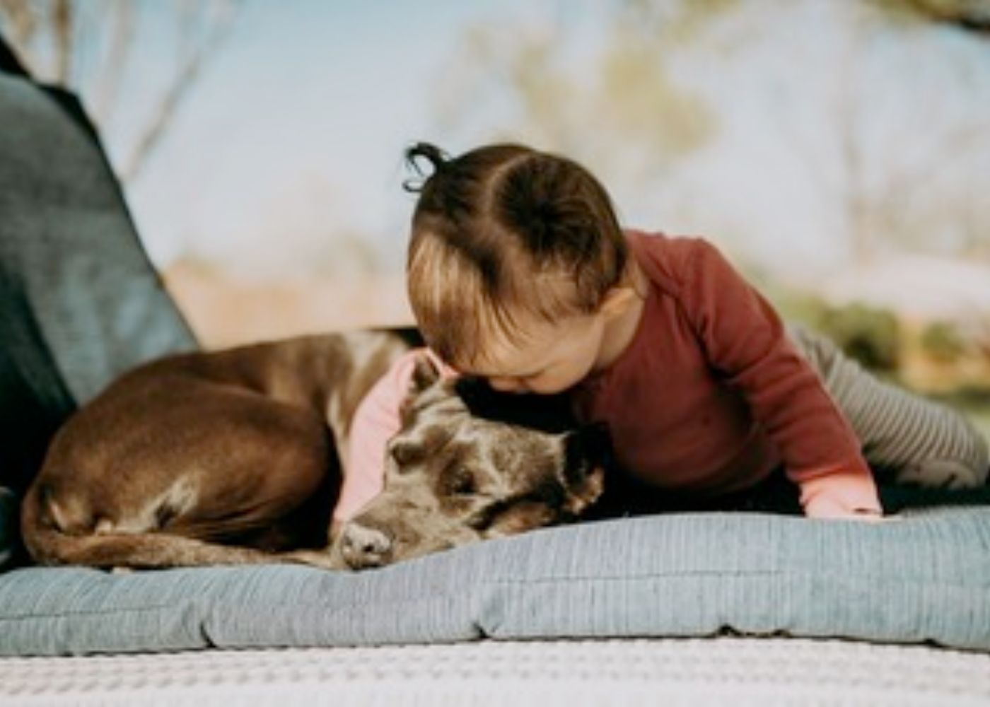 child hugging a dog while in a dog-friendly camping trip