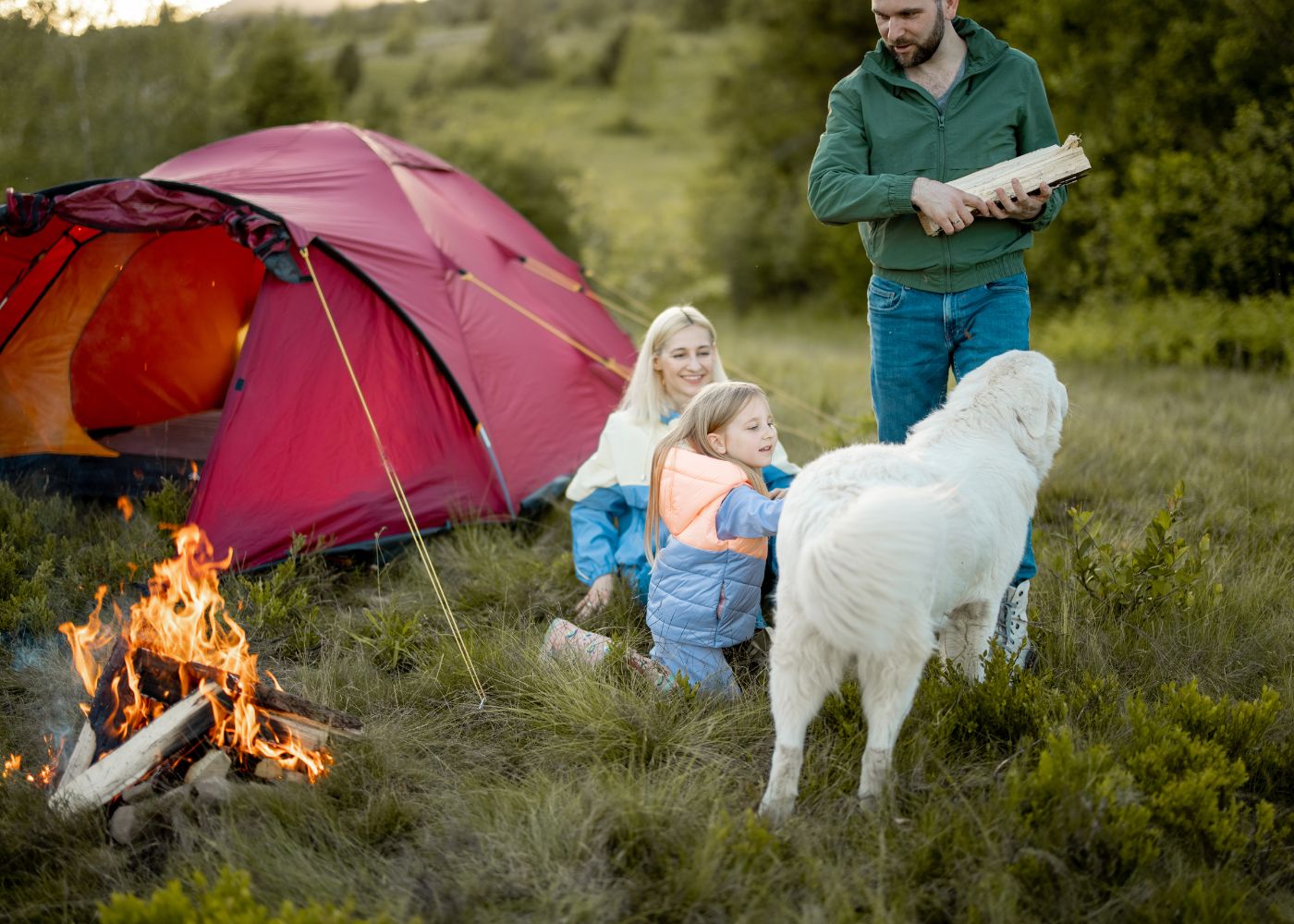 family in a dog friendly camping area