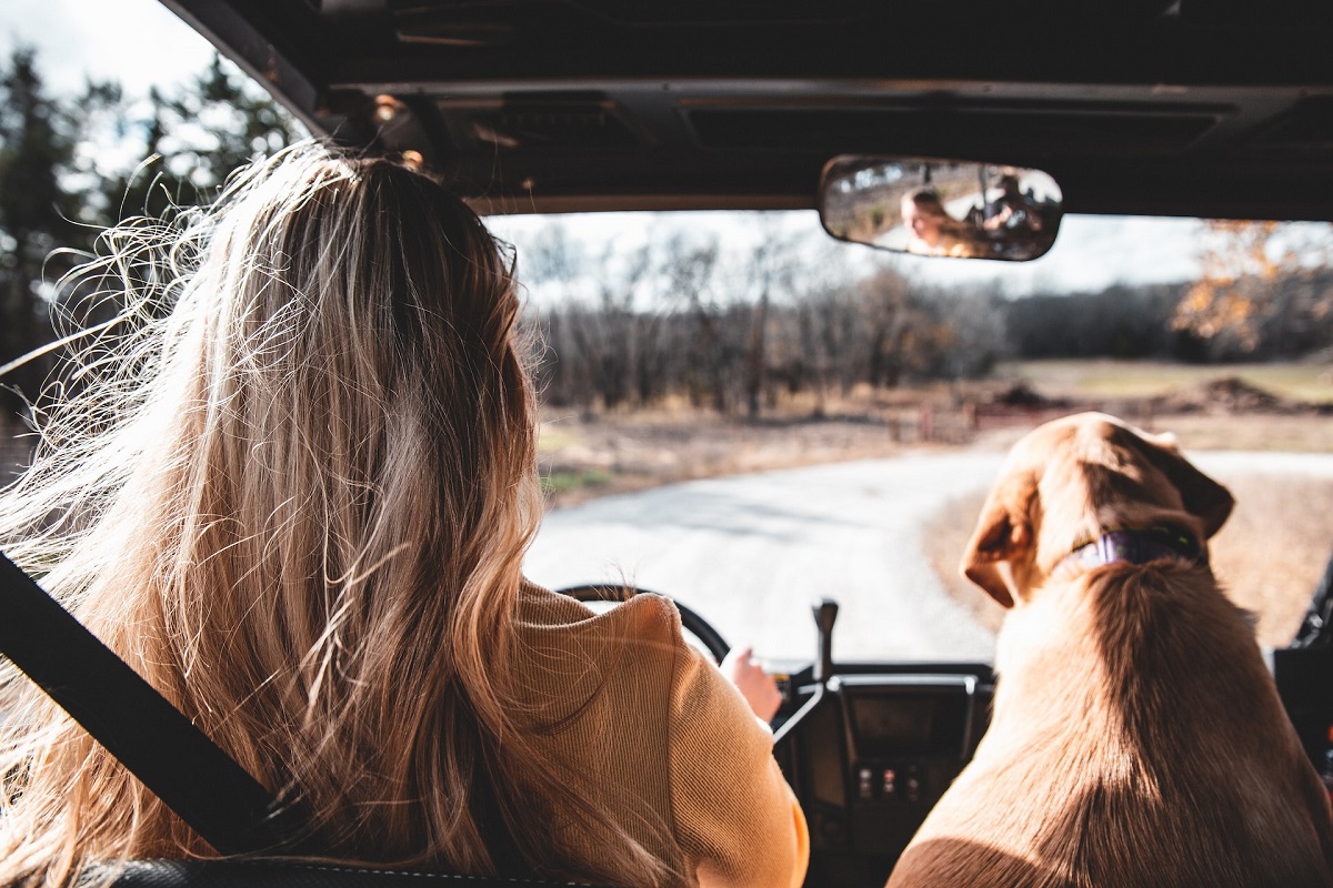 A woman and her dog on a car during a road trip