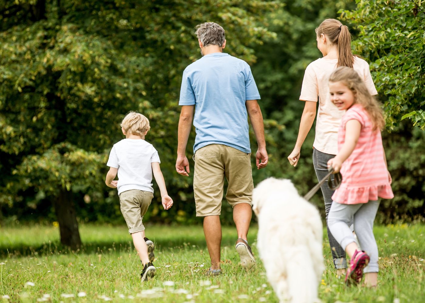 Exercise Dogs to keep them Stimulated