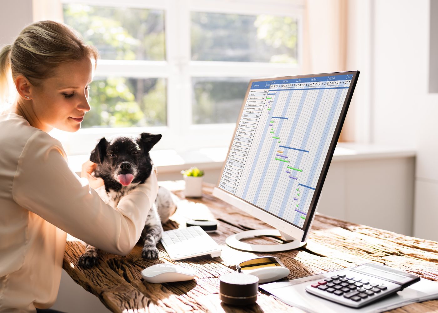 How to Work from home with a dog