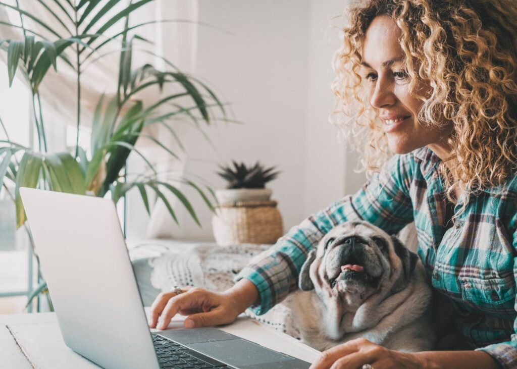 Keeping dogs stimulated when working from home