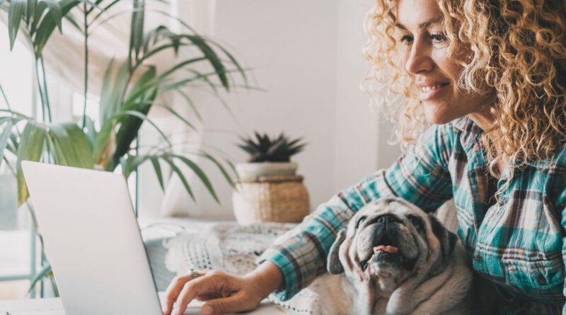 Keeping dogs stimulated when working from home