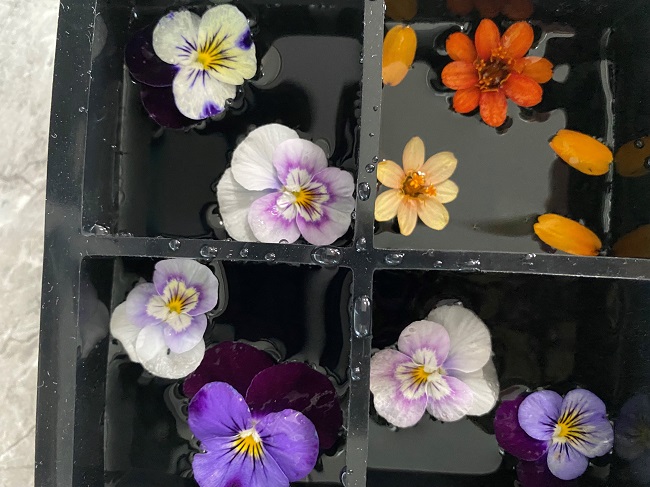 flower ice cubes