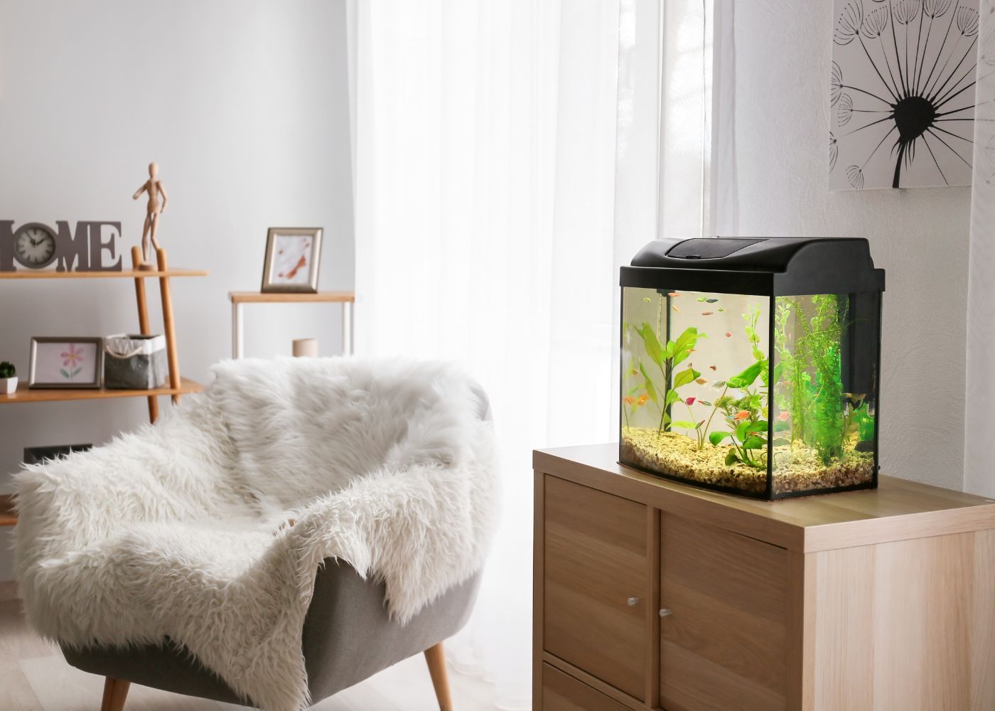 Small Aquarium for Home Office