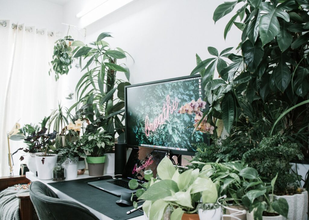 productivity power of green offices