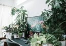 productivity power of green offices
