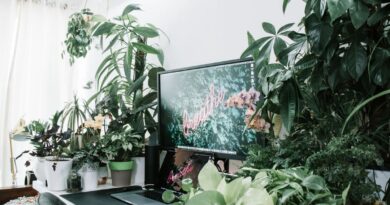 productivity power of green offices