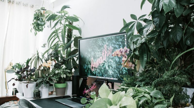 productivity power of green offices