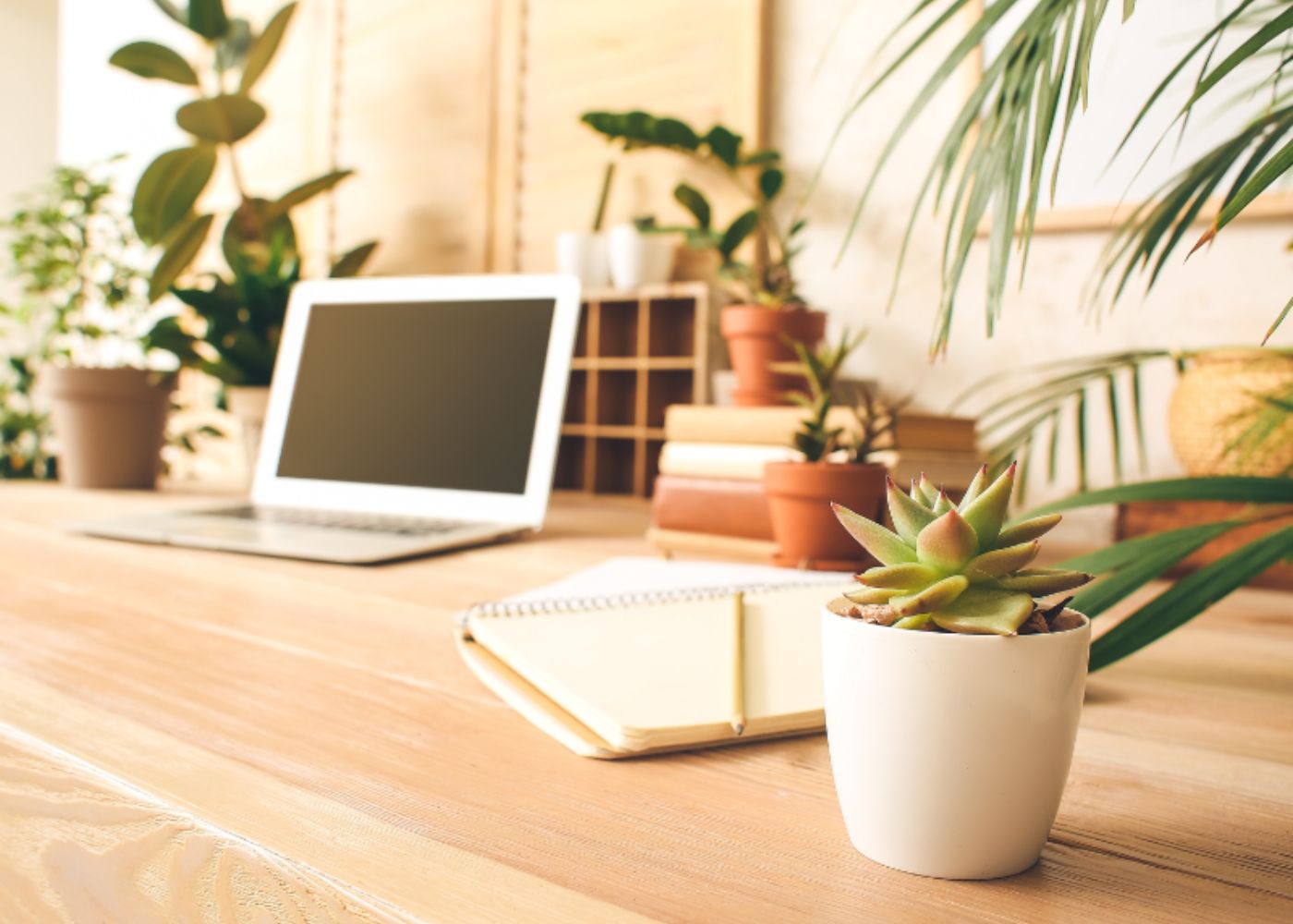 include green plants when you design your sustainable office for fresh air and a calm mind