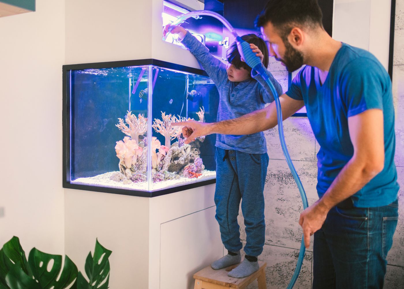 Teach Kids Responsibility with a Fish Tank