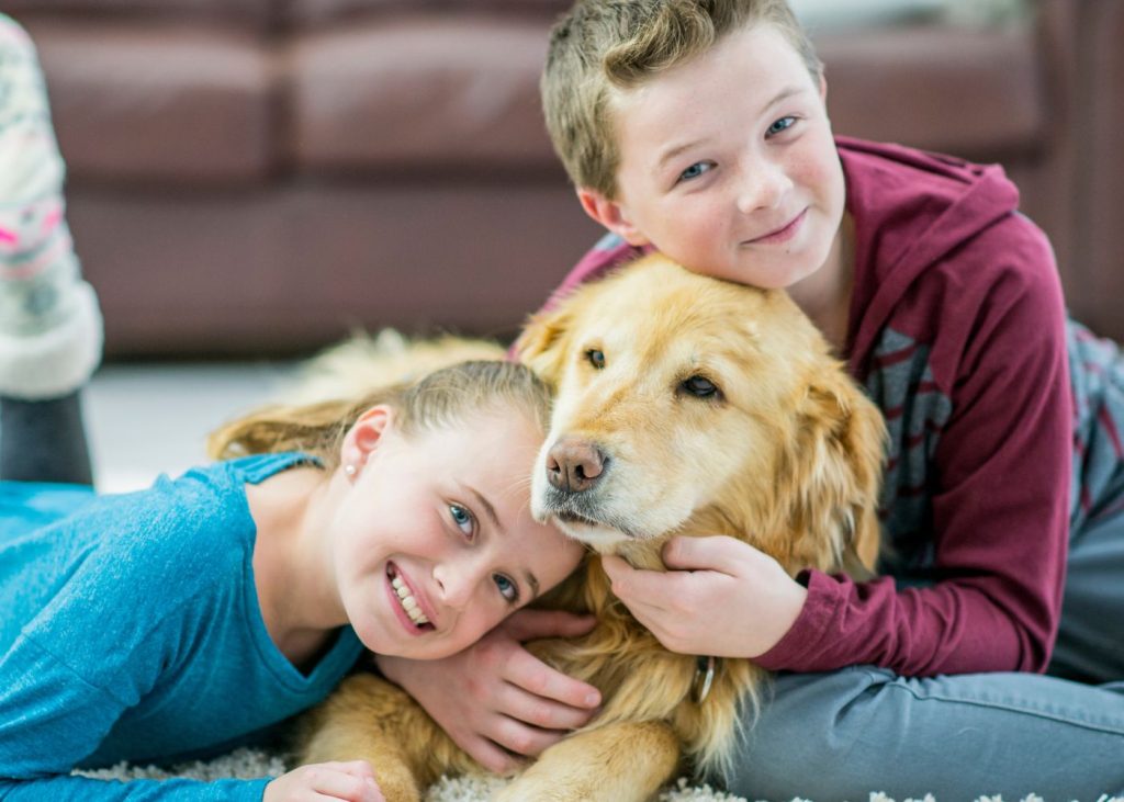 pet and family health supplements