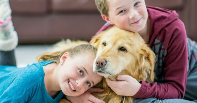 pet and family health supplements