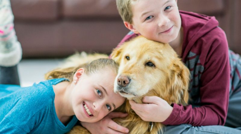 pet and family health supplements